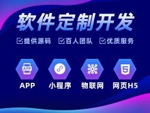 雷州網(wǎng)站建設(shè)與湛江軟件開發(fā) 數(shù)字化時代的企業(yè)引擎